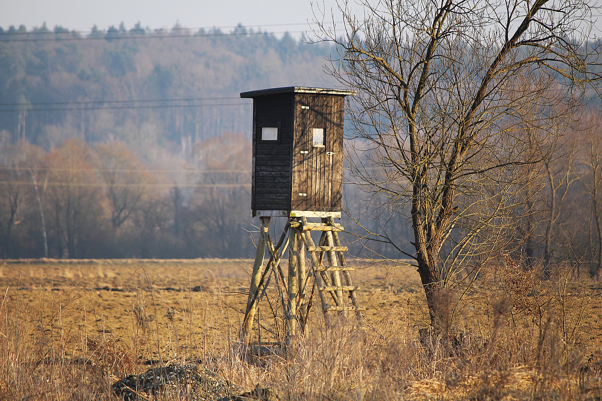 How to Build an Inexpensive Hunting Blind